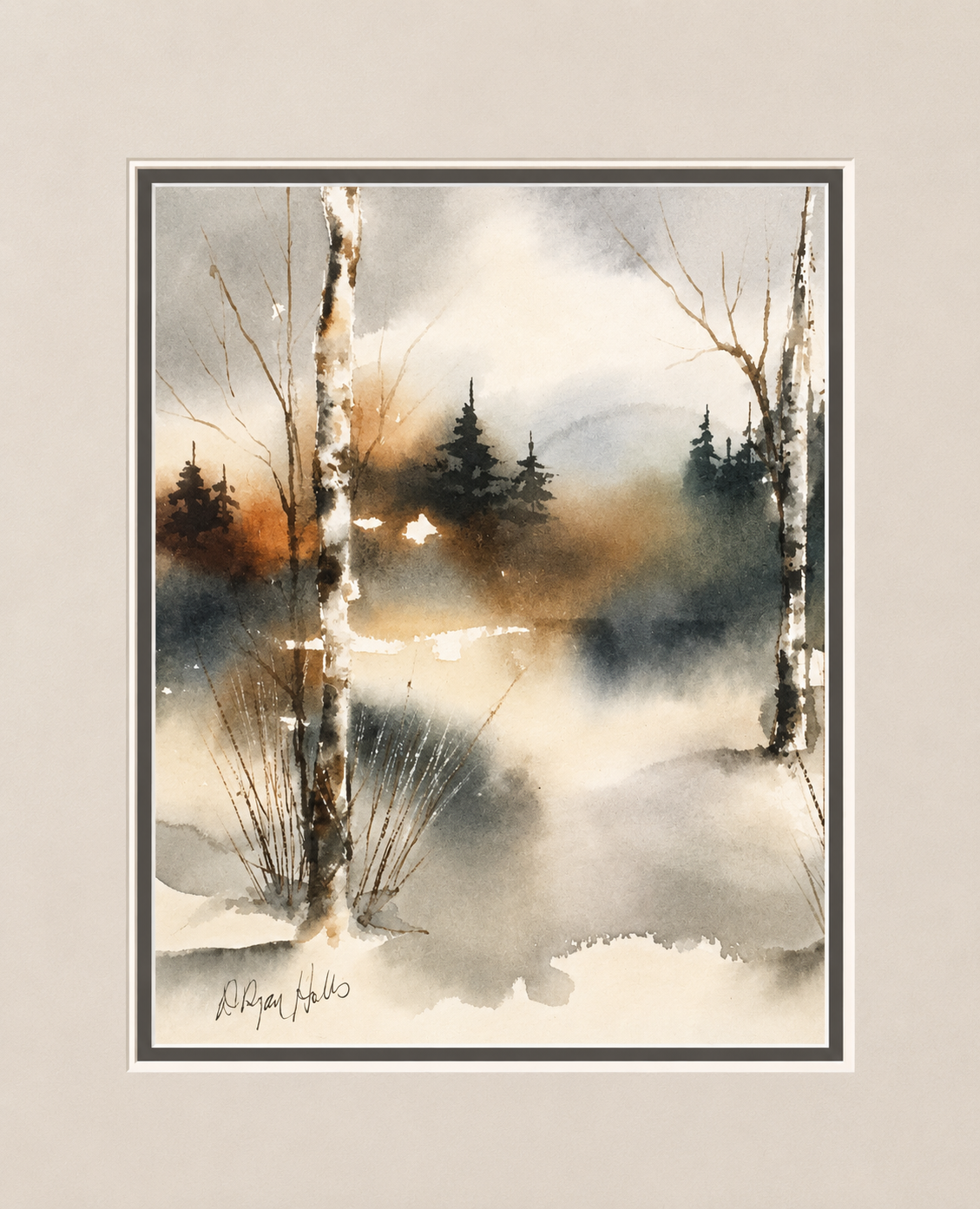 Birches in the Snowmist